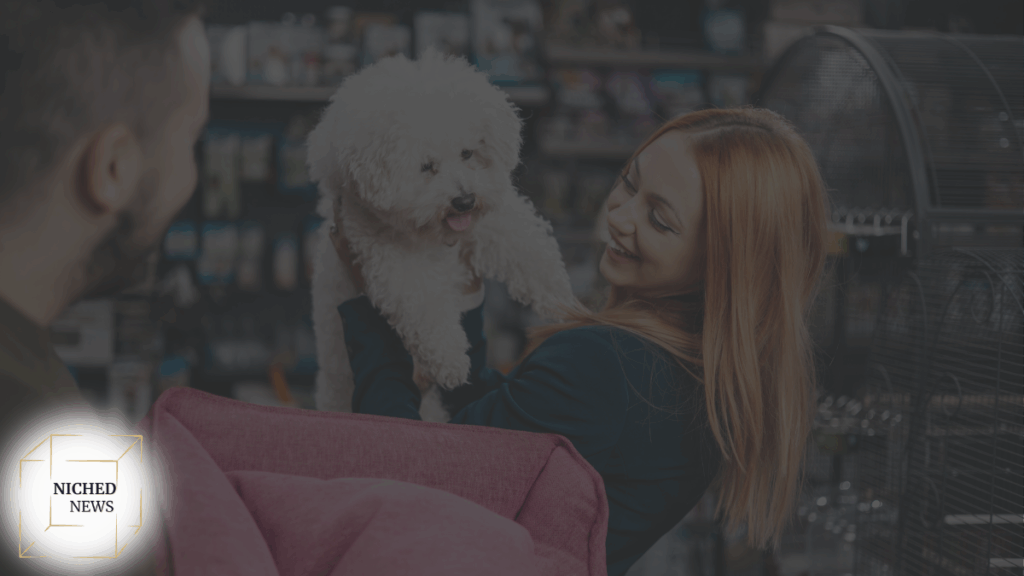 woman holding white fluffy dog in pet store